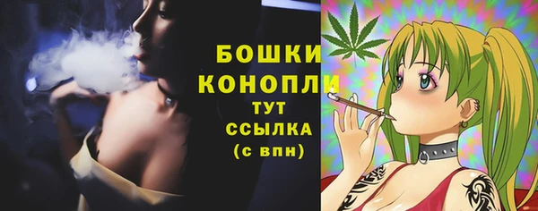 эйфоретик Липки