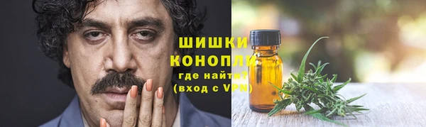 дмт Лиски