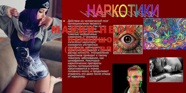 дмт Лиски