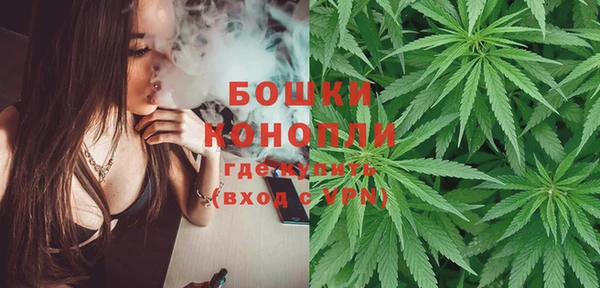 дмт Лиски