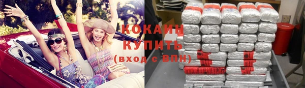 дмт Лиски
