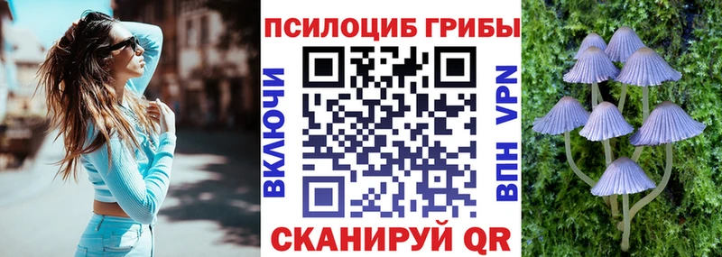 Купить закладки Усмань Галлюциногенные грибы Psilocybe